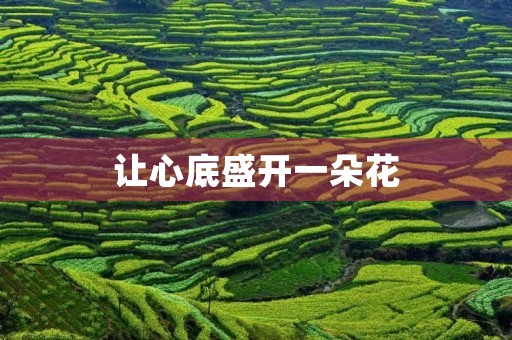 让心底盛开一朵花,寻找内心的美好 让心底盛开一朵花,寻找内心的美好