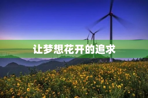 让梦想花开的追求 让梦想花开的追求