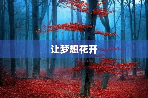 让梦想花开,追求不止 让梦想花开,追求不止