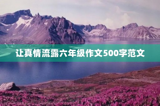 让真情流露六年级作文500字范文 让真情流露六年级作文500字范文