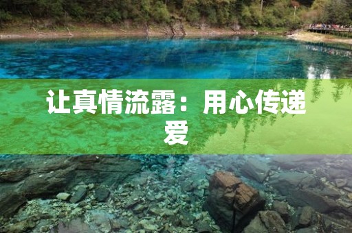 让真情流露：用心传递爱