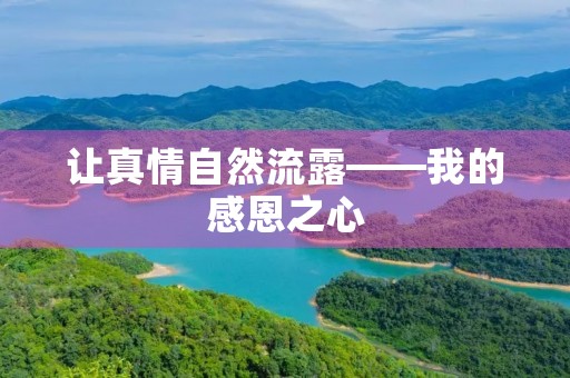 让真情自然流露——我的感恩之心