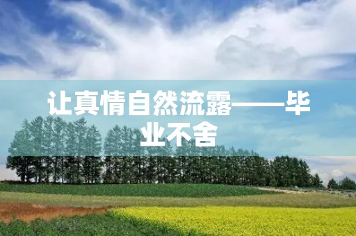 让真情自然流露——毕业不舍