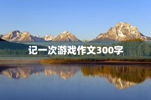 记一次游戏作文300字 记一次游戏作文300字