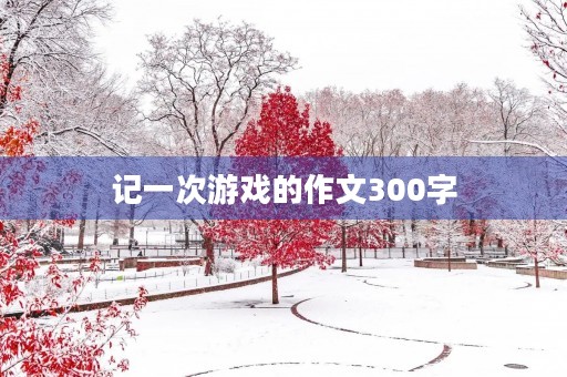 记一次游戏的作文300字