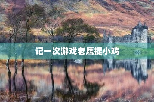 记一次游戏老鹰捉小鸡