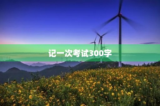 记一次考试300字