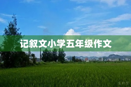 记叙文小学五年级作文
