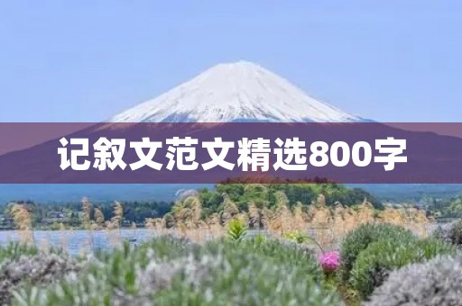 记叙文范文精选800字
