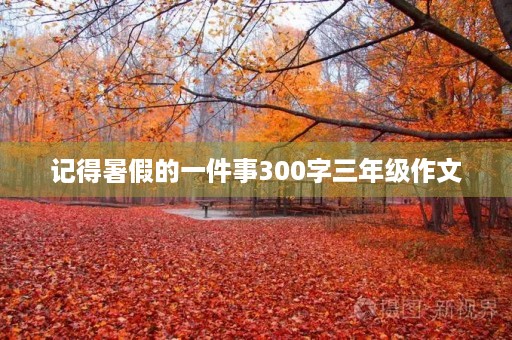 记得暑假的一件事300字三年级作文
