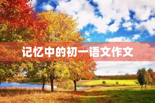 记忆中的初一语文作文