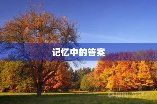 记忆中的答案