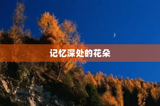 记忆深处的花朵 记忆深处的花朵