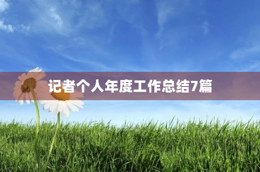 记者个人年度工作总结7篇
