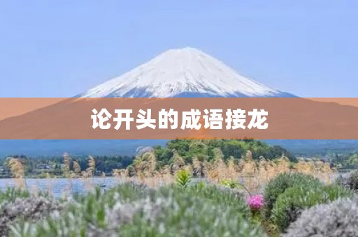 论开头的成语接龙