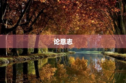 论意志