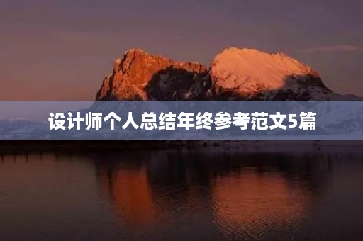 设计师个人总结年终参考范文5篇
