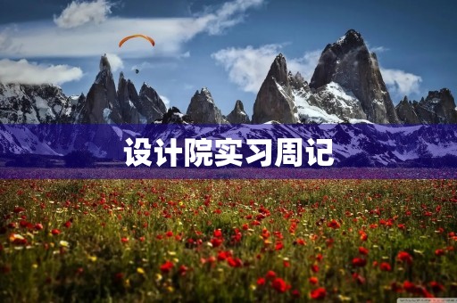 设计院实习周记