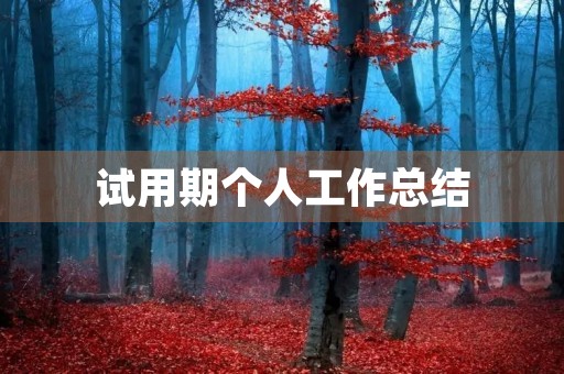 试用期个人工作总结