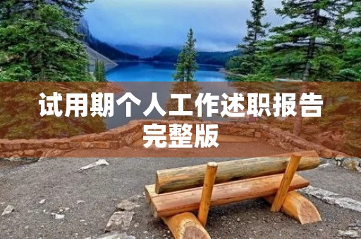 试用期个人工作述职报告完整版