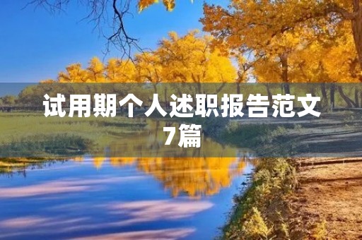试用期个人述职报告范文7篇