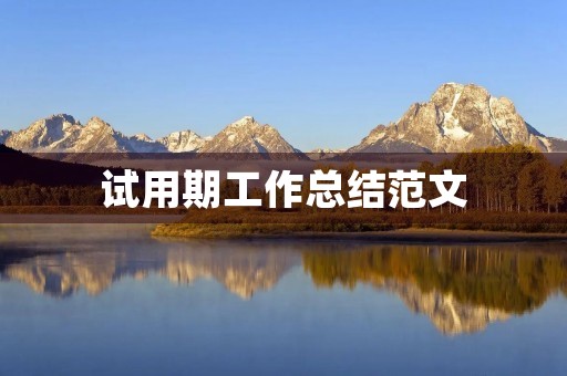 试用期工作总结范文