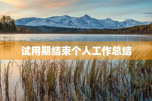 试用期结束个人工作总结