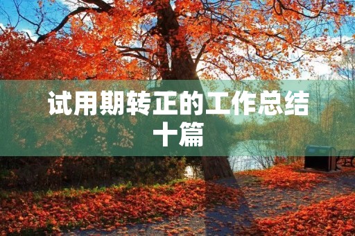 试用期转正的工作总结十篇