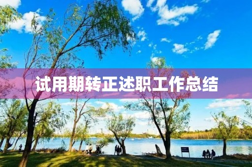 试用期转正述职工作总结