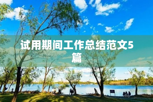 试用期间工作总结范文5篇