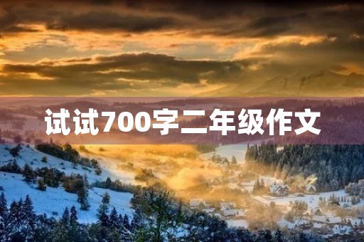 试试700字二年级作文