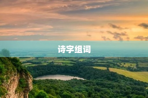诗字组词(诗组词) 诗字组词(诗组词)