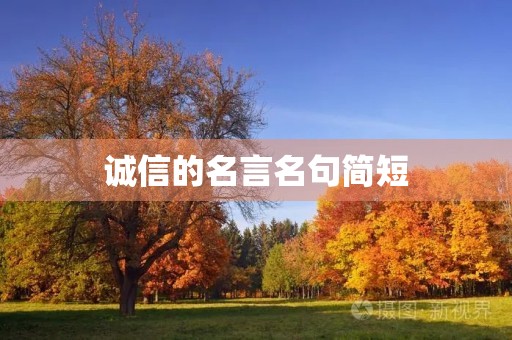 诚信的名言名句简短，诚信的名言名句简短孔子