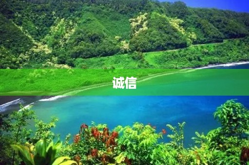 诚信,是一种必须拥有的品质 诚信,是一种必须拥有的品质