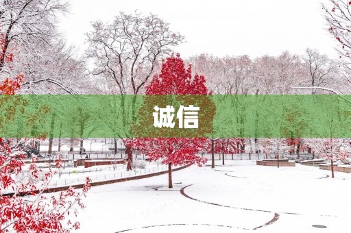 诚信,是一种美德 诚信,是一种美德