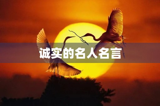 诚实的名人名言,诚实的名人名言及其事例 诚实的名人名言,诚实的名人名言及其事例