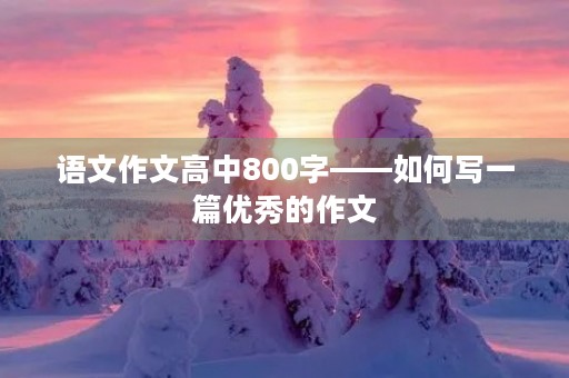 语文作文高中800字——如何写一篇优秀的作文