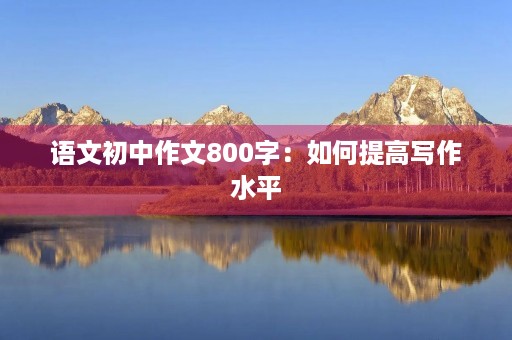 语文初中作文800字：如何提高写作水平