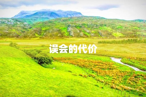 误会的代价 误会的代价