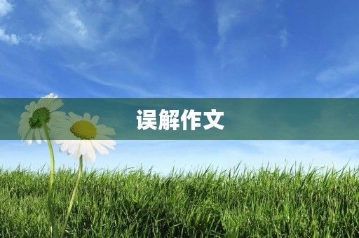 误解作文