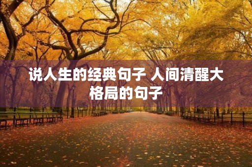 说人生的经典句子 人间清醒大格局的句子 说人生的经典句子 人间清醒大格局的句子