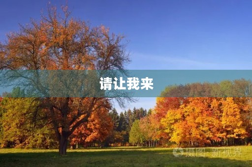 请让我来,让我为初三学子们送上一份中考作文 请让我来,让我为初三学子们送上一份中考作文