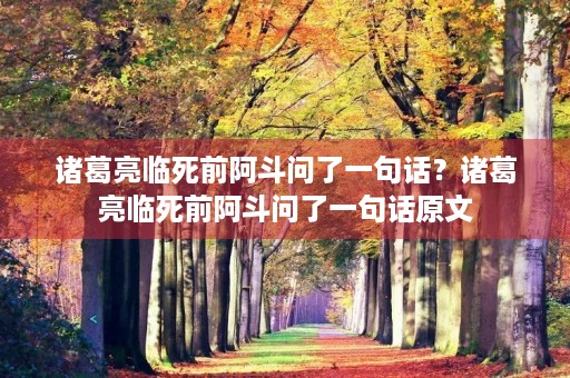 诸葛亮临死前阿斗问了一句话?诸葛亮临死前阿斗问了一句话原文 诸葛亮临死前阿斗问了一句话?诸葛亮临死前阿斗问了一句话原文