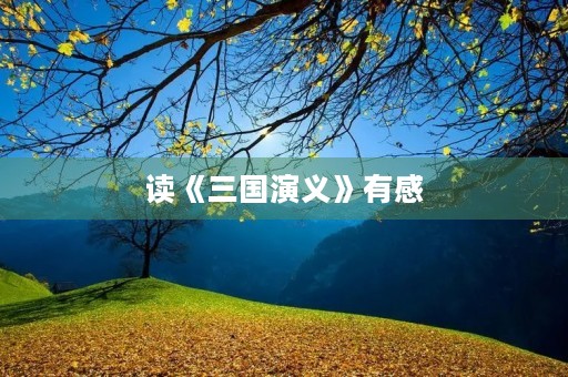 读《三国演义》有感 读《三国演义》有感