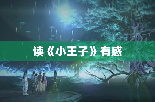 读《小王子》有感