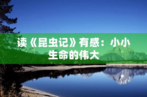 读《昆虫记》有感：小小生命的伟大