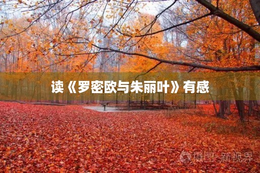 读《罗密欧与朱丽叶》有感