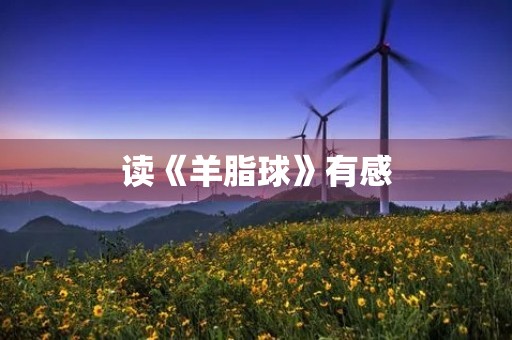 读《羊脂球》有感