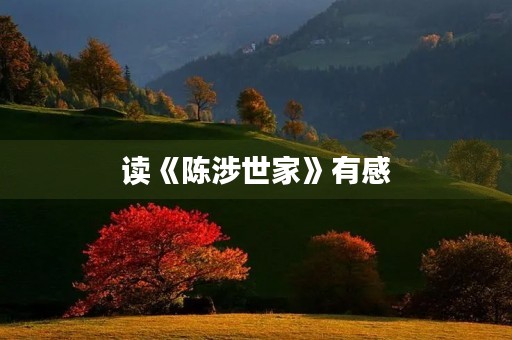 读《陈涉世家》有感