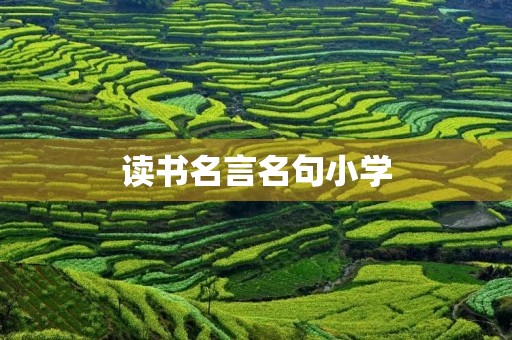 读书名言名句小学,读书名言名句小学生二年级 读书名言名句小学,读书名言名句小学生二年级